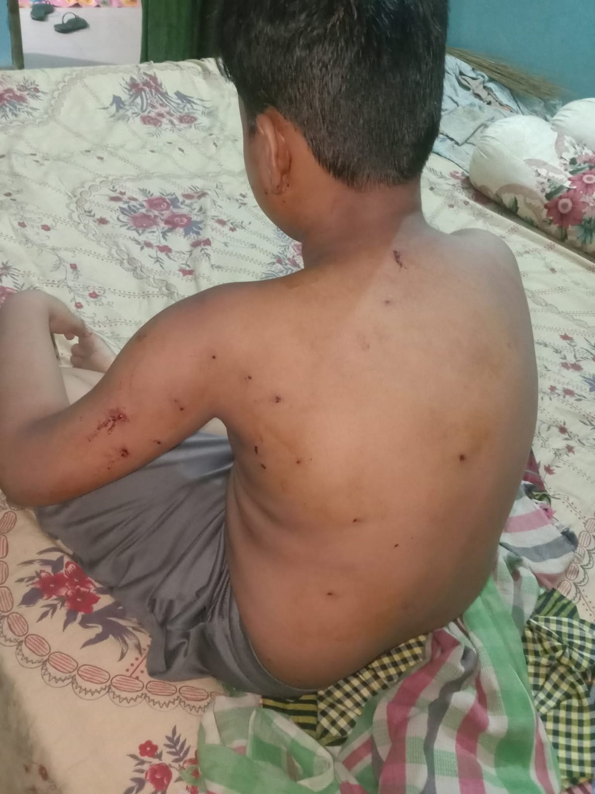 মাহাদী আমিন