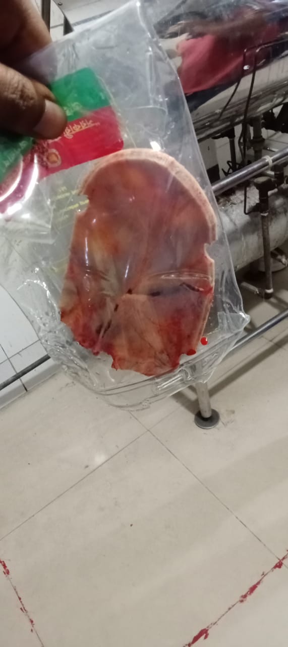 মোঃ মোয়াজ্জেম হোসেন